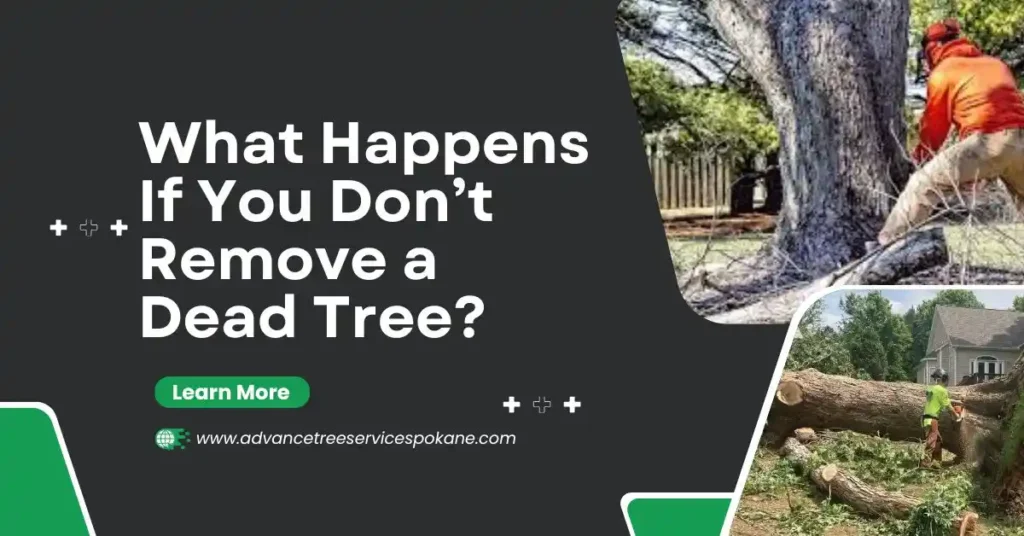 What Happens If You Don’t Remove a Dead Tree in spokane