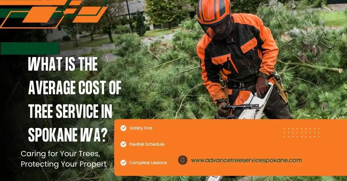 What Is the Average Cost of Tree Service in Spokane WA? (2026 Pricing Guide)