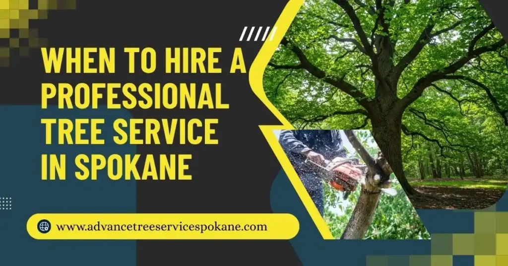 When to Hire a Professional Tree Service in Spokane